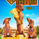 Шелли Снова В Деле: Часть 1 Постер