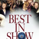 Победители Шоу Постер