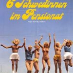 Шесть Шведок В Пансионате Постер